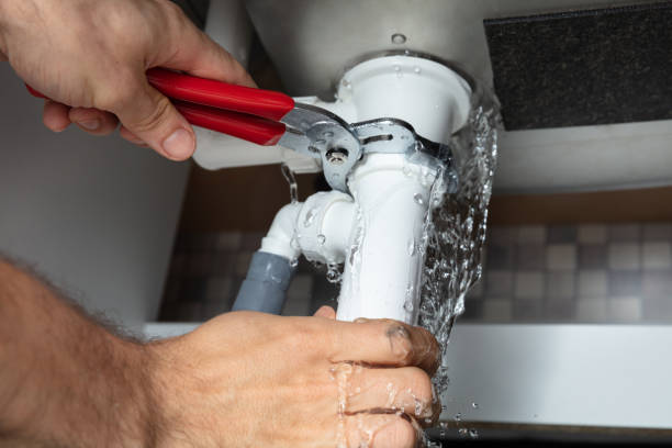 Best Water damage restoration insurance claims  in Pleasant View, TN