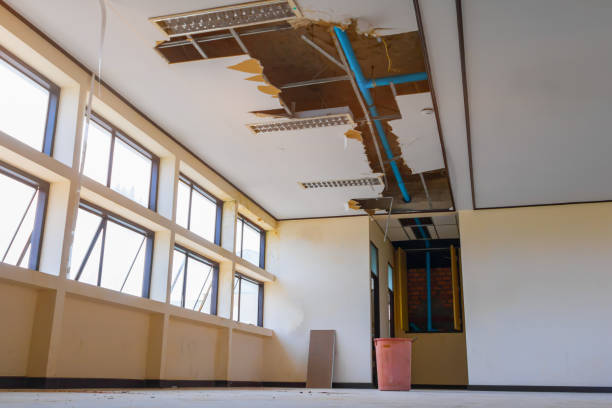 Best Ceiling water damage repair  in Pleasant View, TN