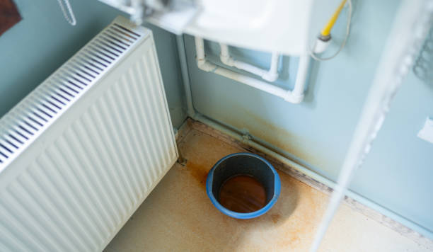 Best Water damage cleanup near me  in Pleasant View, TN