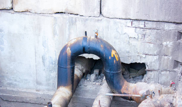 Best Water damage restoration specialists  in Pleasant View, TN